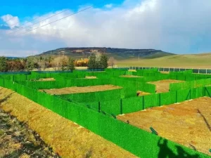 Ankara Çim Çit